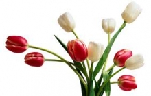 images-2